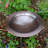 18" Classic Copper Birdbath with Tall Tripod Stand