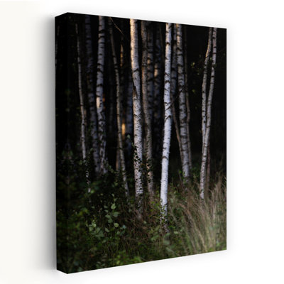 Birch Trees 25 Serene Abstract Contemporary Birch Forest Nature Wall Art Print
