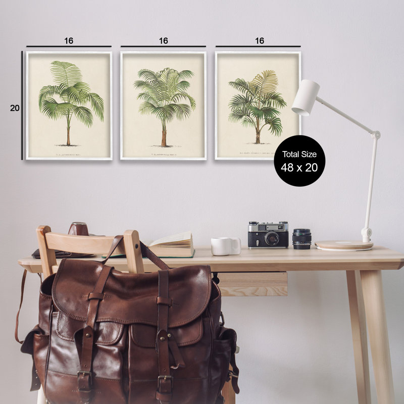 White Framed Botanical Trio Canvas Print Set, 16" x 20"