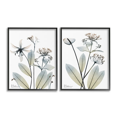 " Modern Budding Blooms Single Picture Frame " by Albert Koetsier 2 - Pieces on Canvas