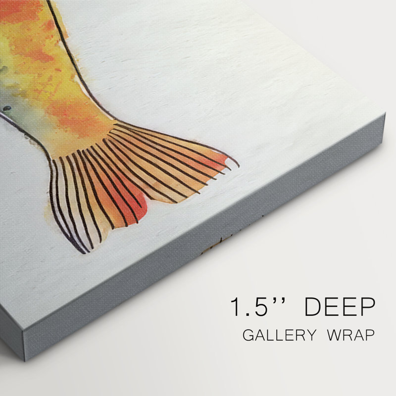 Fanciful Fish II- Gallery Wrapped Canvas -Ready to Hang, 16'' H x 32'' W