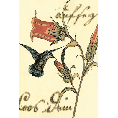 Small Hummingbird Reverie III by Vision Studio - Wrapped Canvas Print