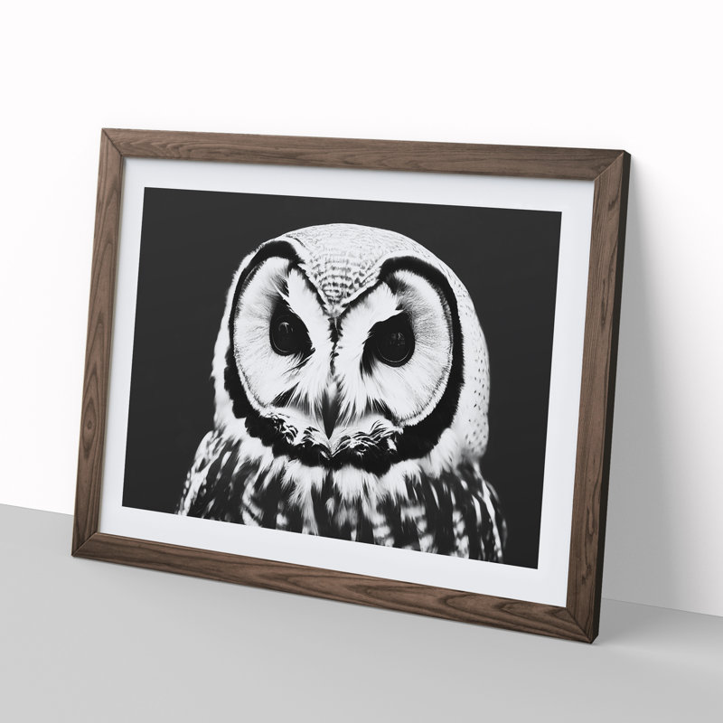 XH1022-6549X Owl Portrait Monochrome Vol.1 - Single Picture Frame Print, 25cm H x 34cm W, Brown