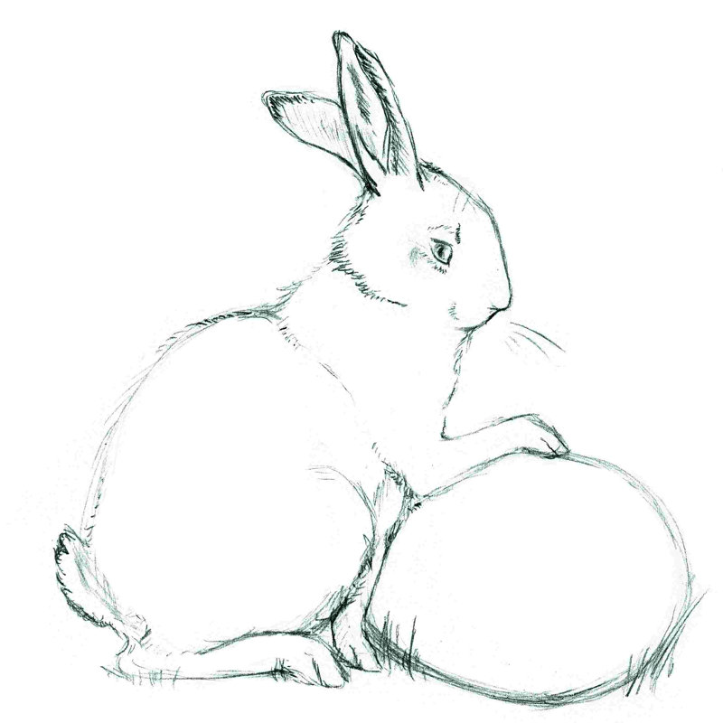 " Rabbit 1 ", 20" H x 20" W  
