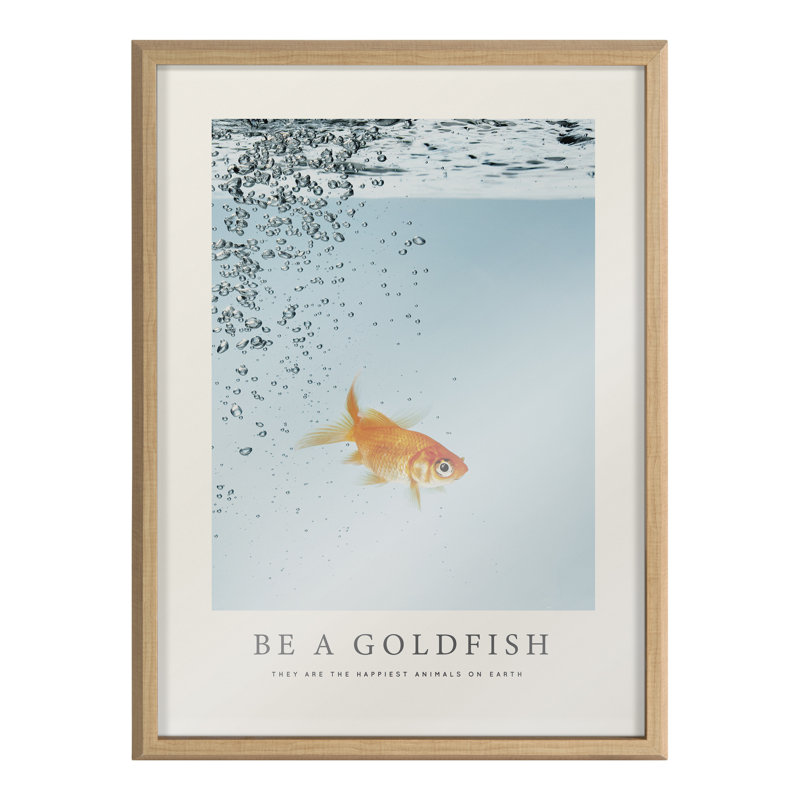 Be A Goldfish Motivational Glass Framed Wall Art