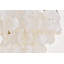 Luminaire suspendu unique à niveaux à 6 lumières Novalee-343366008-293405213-293405215