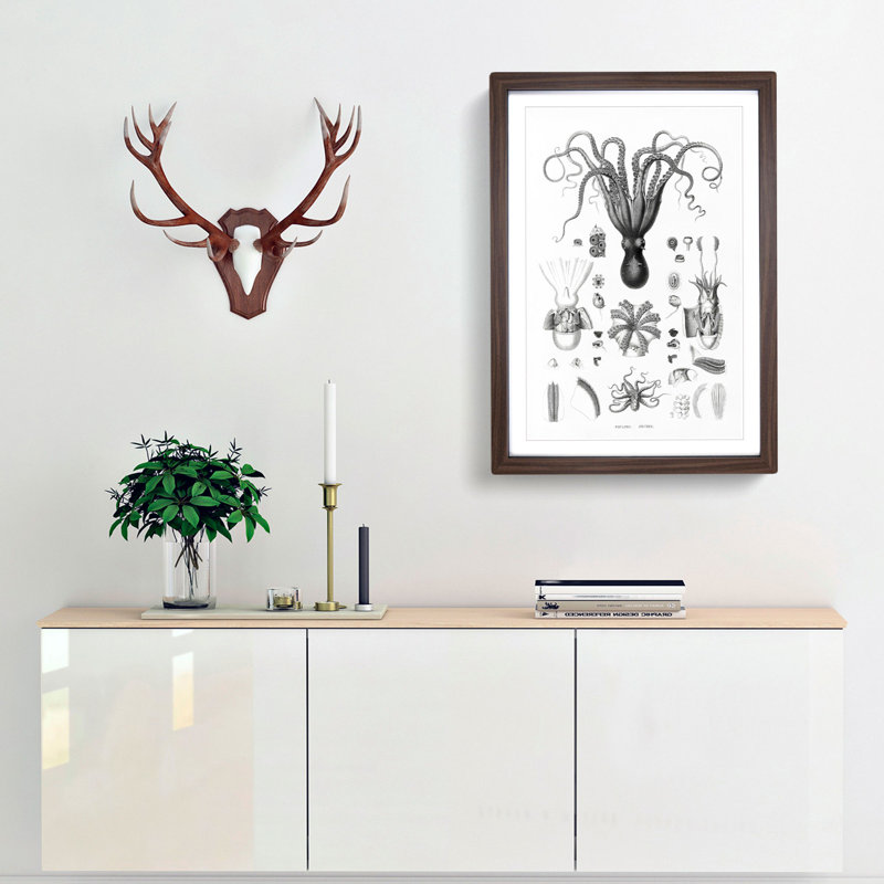 Octopus Illustrations by E.F. Jomard - Picture Frame Drawing Print, 36cm H x 27cm W x 2cm D, Walnut Framed