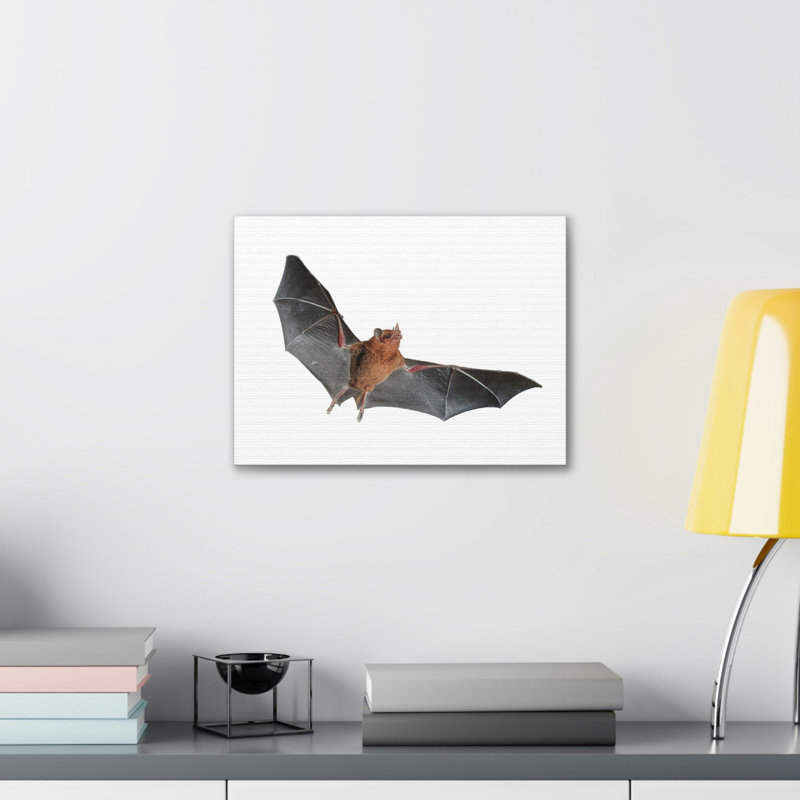 Wall Art on Canvas, 30.48cm H x 45.72cm W