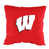 Badgers de Wisconsin