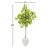 Arbre citron en pot de fleurs
