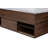 Ciceri Bookcase Bed