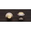 CK Series 1 1/4" Diameter Mushroom Knob-12829544