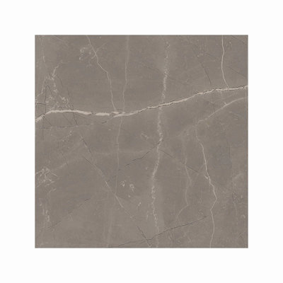 100-1100M-24X24 - Amani Gray - Matte