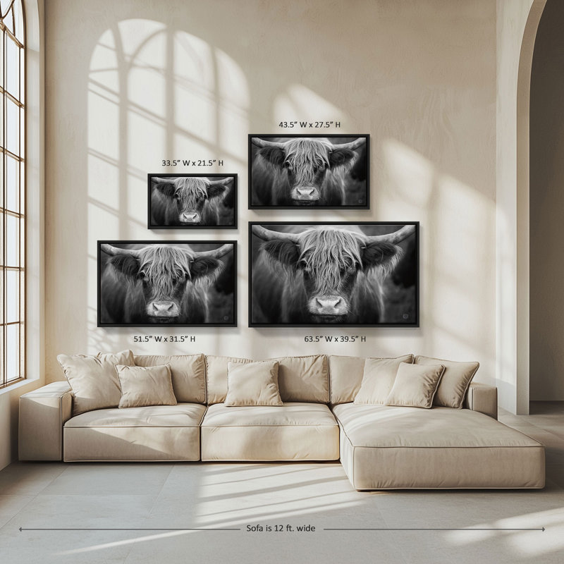 "Cow Nose BW" par Nathan Larson, reproduction sur toile dans un cadre flottant, H 27,5 po x l 43,5 po, Noir, noir, noir, noir