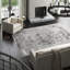 Pavilion Area Rug in Gray-40359124