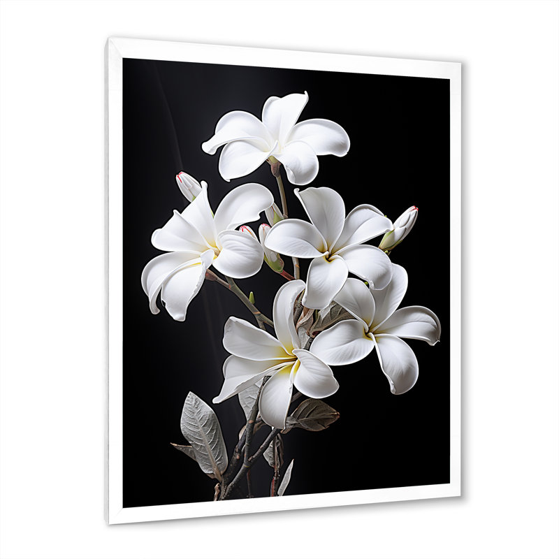 Parfumée Plumeria Serenade I, H 40 po x l 30 po x P 1,5 po, Cadre simple blanc