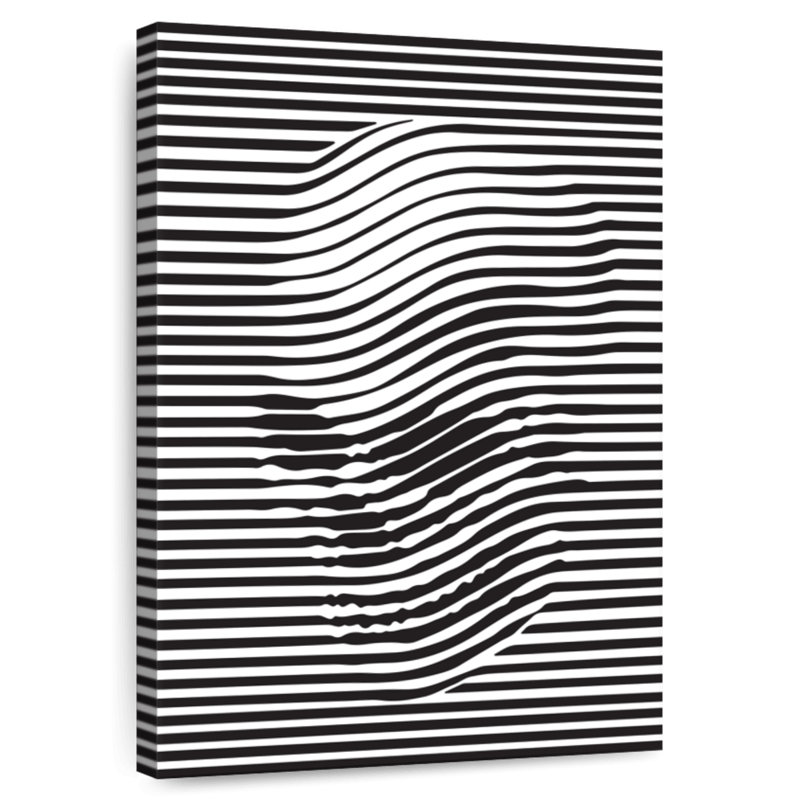 Crâne Kerner illusion optique, H 24 po x l 16 po