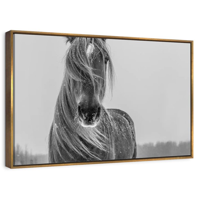 Cheval d'hiver, Cadre flottant doré, 46 po x 31 po