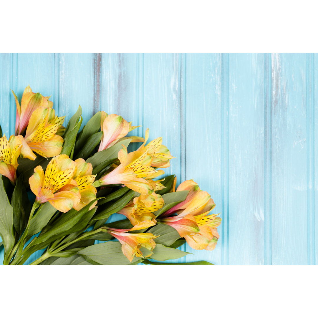 Frühling Alstroemeria Blumen von Fstop123 - No Frame Set auf Leinwand