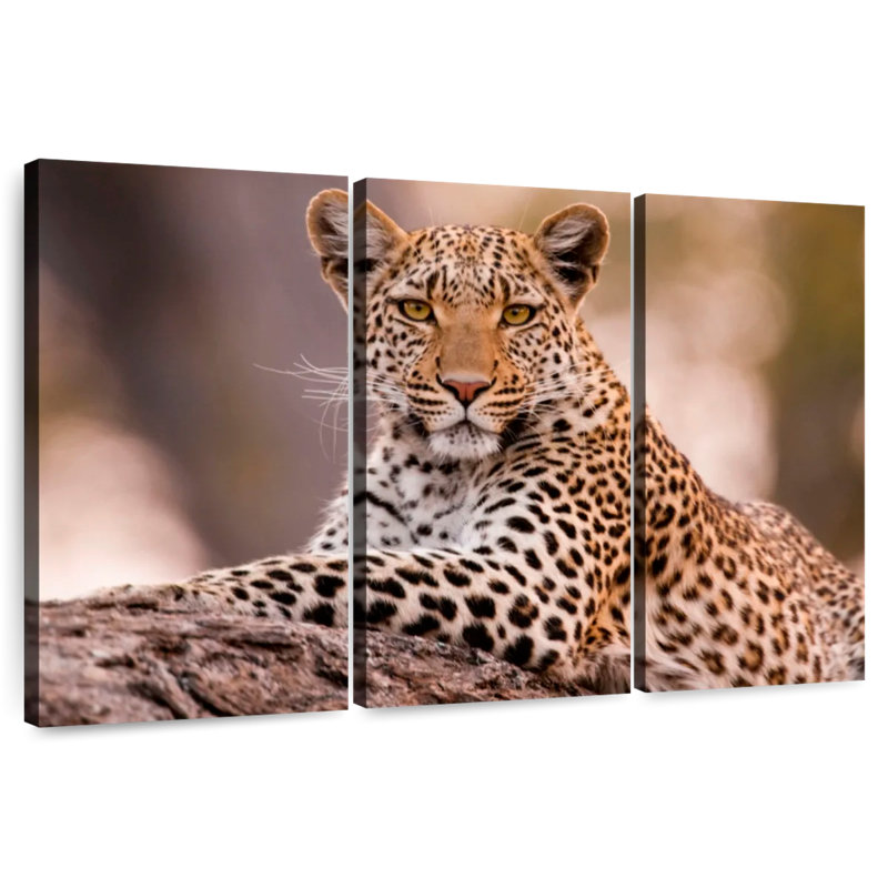 Brampt Botswana Leopard, 24" H x 38" W