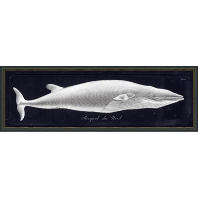 Rorqual Du Nord Painting
