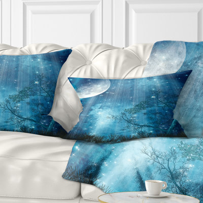 Throw Pillow
