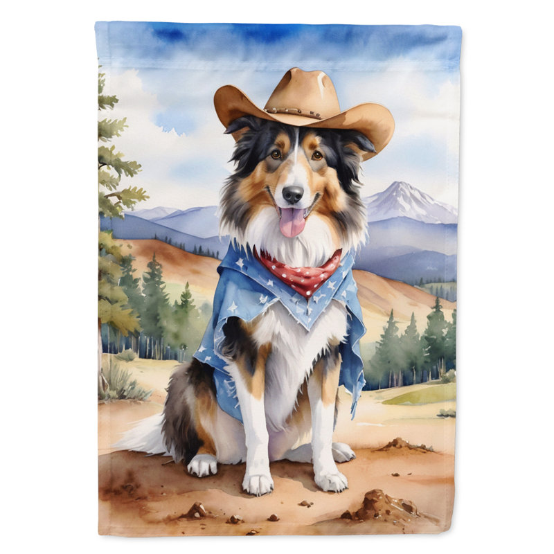 Drapeau Cowboy Welcome House, Colley
