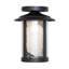 1 - Light Flush Mount