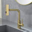 Dilon Colour Kitchen Faucet-101637396