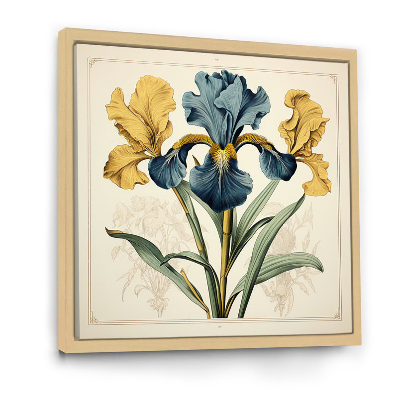 Illustration rétro d'iris bleus jaunes sur toile, Cadre flottant brun, H 36 po x l 36 po x P 1,5 po
