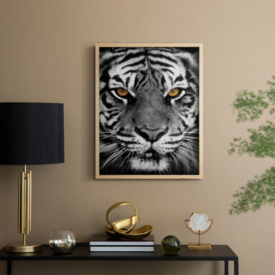 Golden Eyes Framed Print - Solid Wood