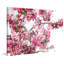 Spring In Pink by Sylvia Cook - Wrapped Canvas Print-350612967