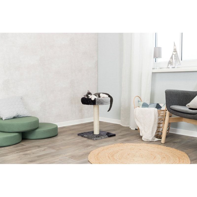 Arbre à chat pour chatons en sisal avec plateforme rembourrée en sisal 20,5 po Trixie