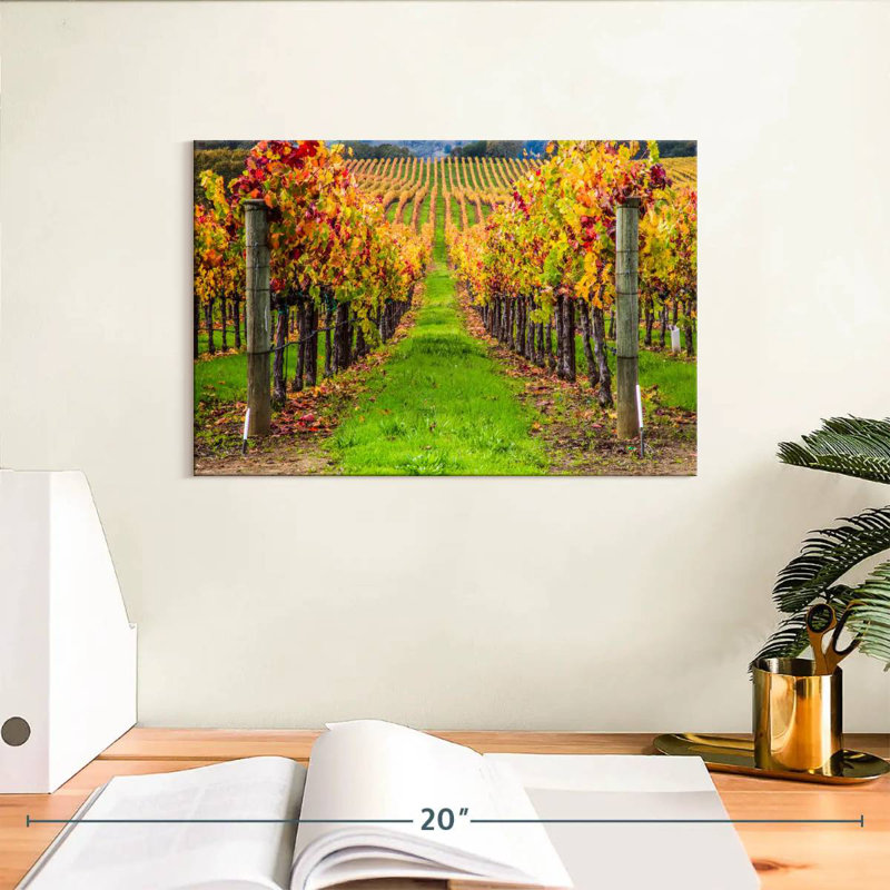 Yarlin California Spring Vineyard, H 8 po x l 12 po