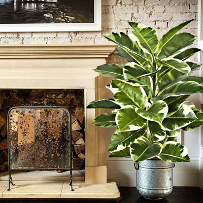 Artificial Real Touch Rubber Plant in Pot
