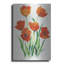 Art mural en métal «Red Tulips in Bloom I» par Tim O'Toole-101683401