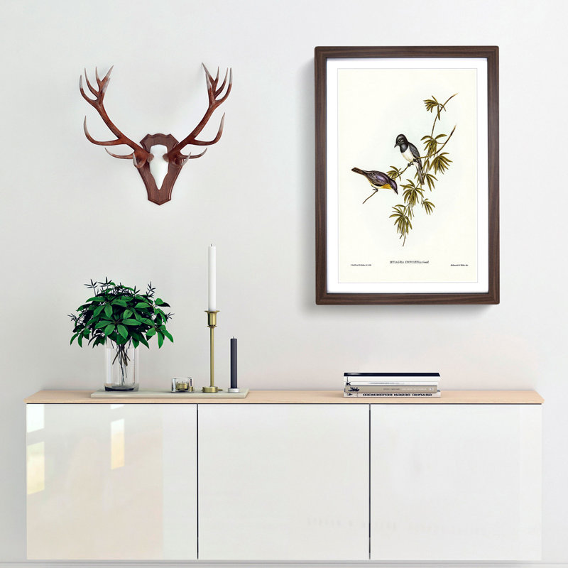 Pretty Flycatcher Bird by Elizabeth Gould - Picture Frame Painting Print, 65cm H x 48cm W x 2cm D, Walnut Framed