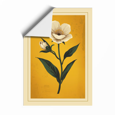 White Bloom Study Botanical - Framed Print