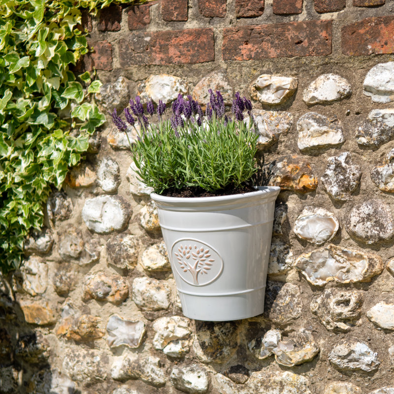 Dinardo Wall Planter, Off White