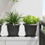  Plant Pots 6 Pcs Plastic-198688210-198688213