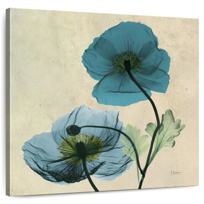 Harnek Iceland Poppy Duo
