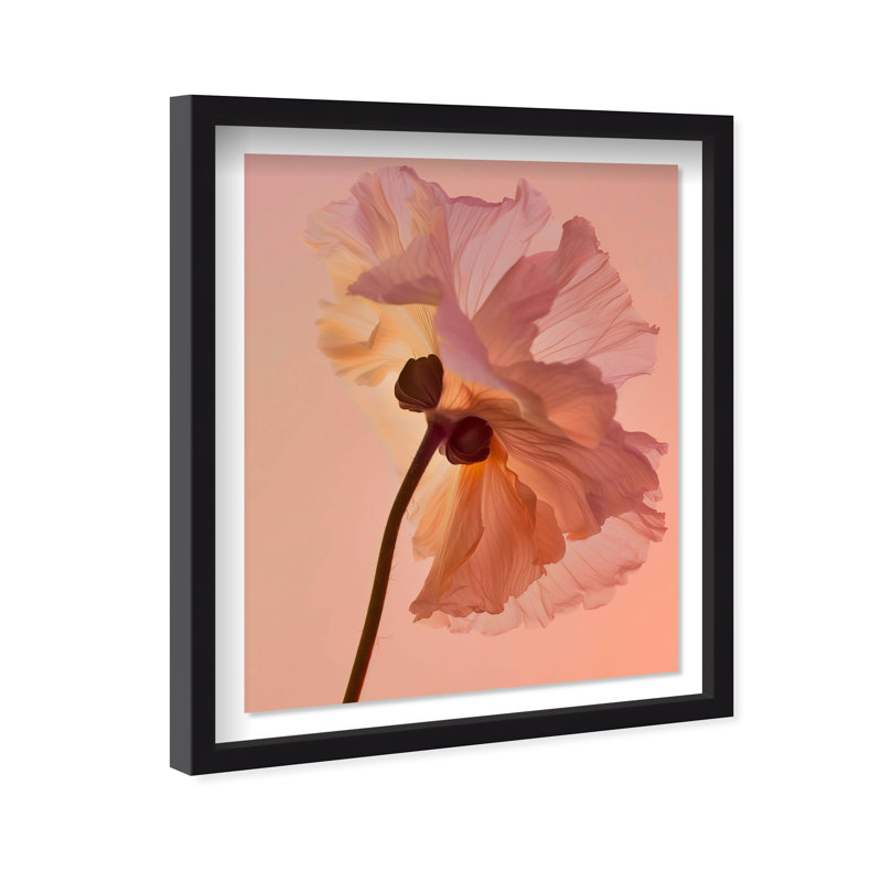 Amber Radiance III Shadowbox Floral & Botanical Print by Oliver Gal, Black Frame, 16 x 20, 25.5"H x 31.5"W, Black Shadowbox