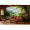 Papier peint montagne, paysage, forêt naturelle, paysage Vn824 (Peel-N-Stick) VN824