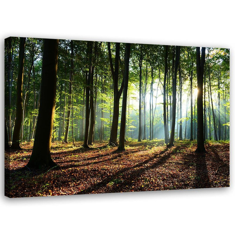 Forest At Sunrise - No Frame Print on Canvas, 60cm H x 90cm W