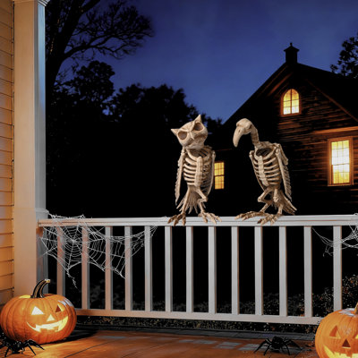 Annekristin 1 Pcs Vulture and 1 Pcs Owl Skeleton Halloween Decoration Buzzard Bird Props Outdoor Indoor