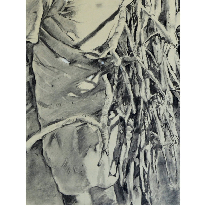 Le vieux patriarche | Gris anthracite sur papier | Par Ramkrishna Paul