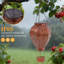 17 " Solar Powered Outdoor Lantern