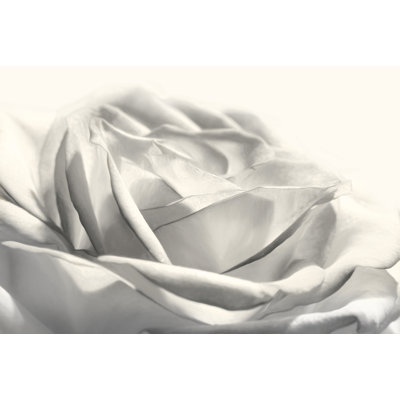 Rose III 2885965