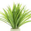 Riey Faux Grass in Fiberstone Pot