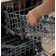 GE Appliances 24" 47 Decibel ENERGY STAR Certified Built-in Front Control Dishwasher with Adjustable Rack and Tall Tub